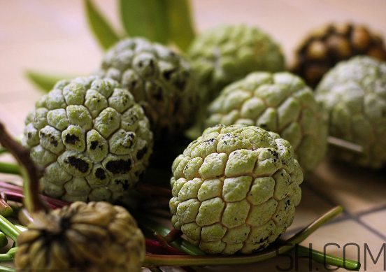 2017釋迦多少錢一斤?2017釋迦價格 2017釋迦多少錢一斤?2017釋迦價格