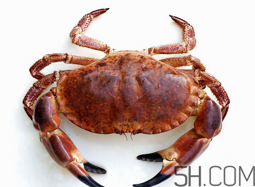 蟹胃能吃嗎?蟹胃吃了會(huì)怎樣? 蟹胃能吃嗎?蟹胃吃了會(huì)怎樣?