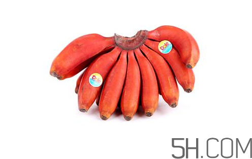 紅香蕉和普通香蕉的區(qū)別？香蕉可以放冰箱冷凍嗎？