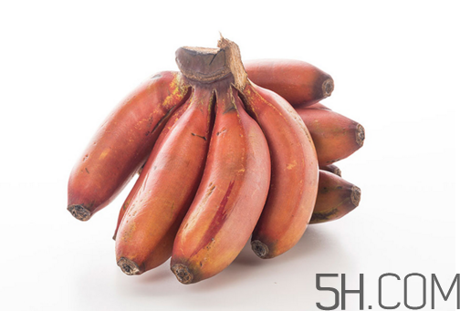 紅香蕉和普通香蕉的區(qū)別？香蕉可以放冰箱冷凍嗎？