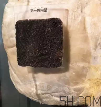 牛百葉和毛肚是一個(gè)東西嗎？牛百葉上面有層黑皮能吃嗎？