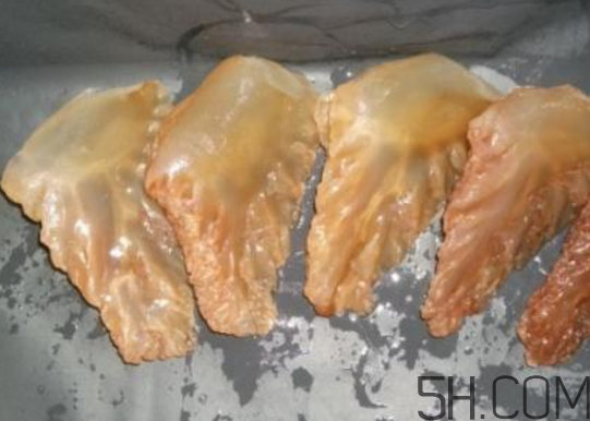 海蜇頭能吃嗎？海蜇頭多少錢一斤？