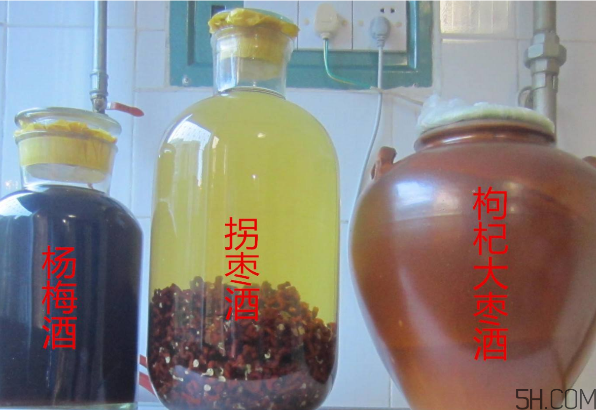 拐棗能泡酒嗎？拐棗能和蜂糖一起泡酒嗎？