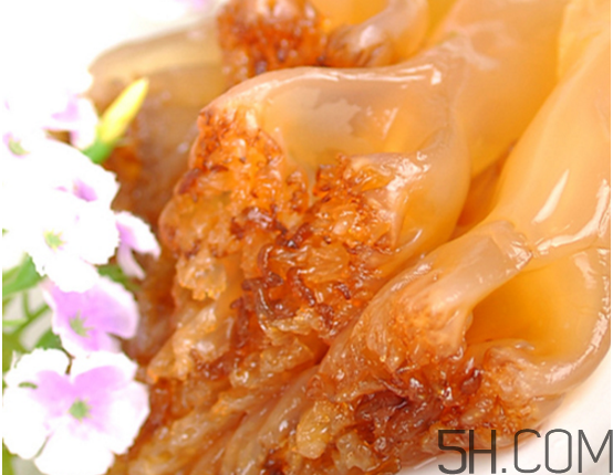 海蜇頭可以冰凍保存嗎？海蜇頭怎么處理