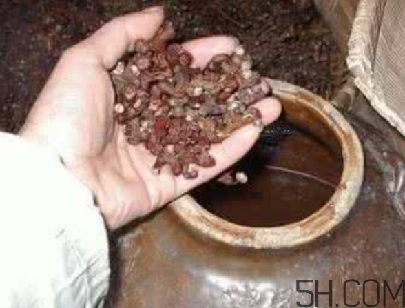 拐棗能泡酒嗎？拐棗能和蜂糖一起泡酒嗎？