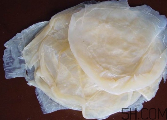 海蜇皮是什么？海蜇皮怎么涼拌