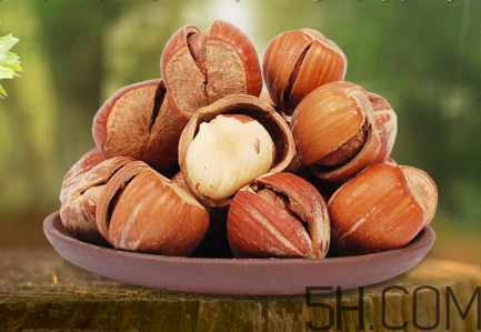 榛子可以天天吃嗎？榛子可以每天吃多少？