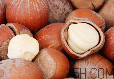 榛子多少錢一斤？榛子如何挑選？