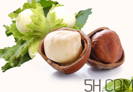 榛子可以天天吃嗎？榛子可以每天吃多少？