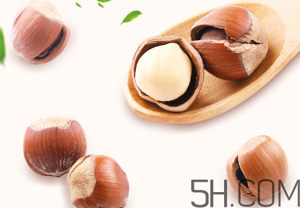 榛子可以天天吃嗎？榛子可以每天吃多少？