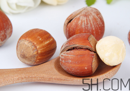 榛子多少錢一斤？榛子如何挑選？