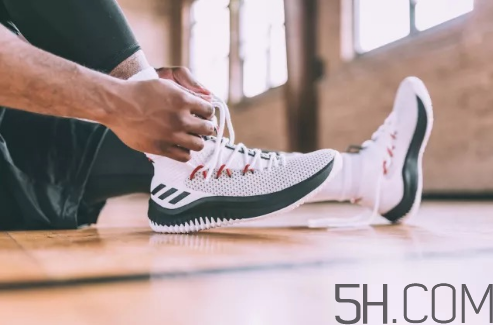 adidas dame 4多少錢？阿迪達(dá)斯利拉德四代上腳效果