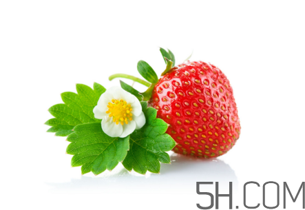 吃了發(fā)霉的草莓怎么辦？怎樣挑選草莓？