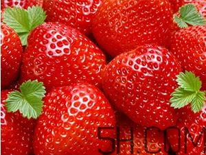 草莓都有哪些熱門品種？草莓怎么放不容易壞？