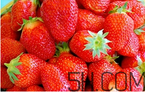 草莓都有哪些熱門品種？草莓怎么放不容易壞？