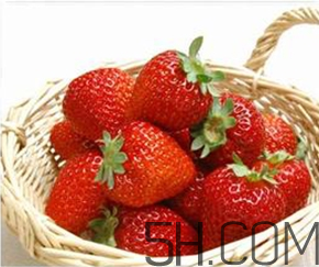 草莓都有哪些熱門品種？草莓怎么放不容易壞？