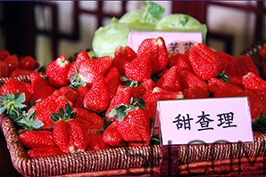草莓都有哪些熱門品種？草莓怎么放不容易壞？