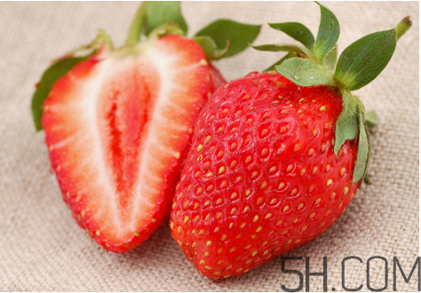 草莓都有哪些熱門品種？草莓怎么放不容易壞？