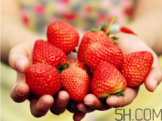 奶油草莓和巧克力草莓哪個(gè)更好吃？奶油草莓的區(qū)分