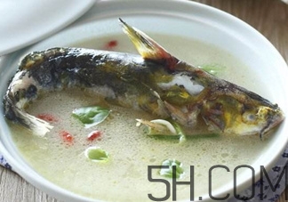 黃骨魚和鯽魚哪個(gè)好？黃骨魚和鯽魚的營養(yǎng)價(jià)值