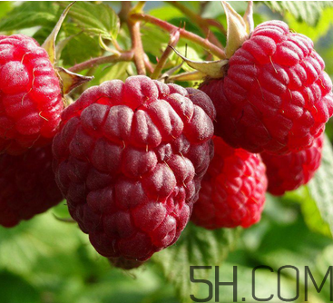 覆盆子有什么作用？覆盆子的營養(yǎng)價(jià)值