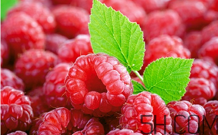 覆盆子茶什么時(shí)候喝？桑葚和覆盆子的區(qū)別