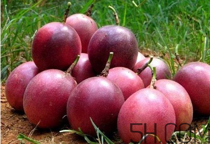 百香果幾月份的最好吃？百香果一次可以吃幾個？