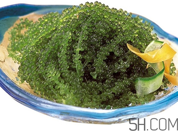 海葡萄好吃嗎？海葡萄怎么吃