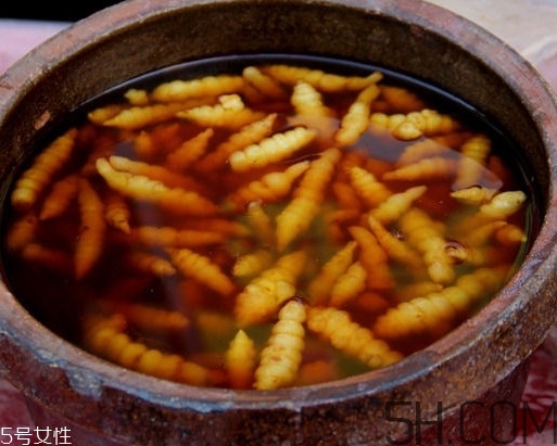 螺絲菜怎么腌制？螺絲菜的種植方法