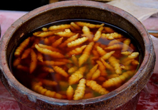 螺絲菜怎么腌制？螺絲菜的種植方法