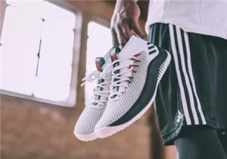 adidas dame 4多少錢？阿迪達斯利拉德四代上腳效果