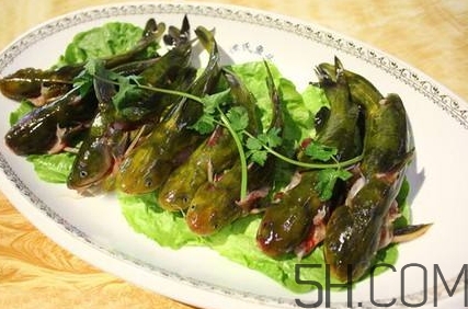 黃骨魚和鯽魚哪個(gè)好？黃骨魚和鯽魚的營養(yǎng)價(jià)值