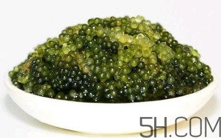 海葡萄多少錢(qián)一斤？海葡萄是什么味道