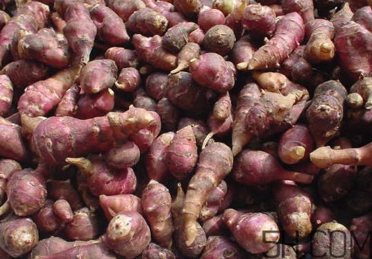 常吃鬼子姜有哪些危害？鬼子姜怎么吃