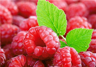 覆盆子有毒嗎？孕婦喝覆盆子茶的注意事項