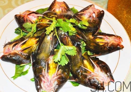 黃骨魚怎么處理？黃骨魚怎么清洗？