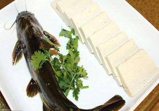 黃骨魚有刺嗎？黃骨魚有毒嗎？