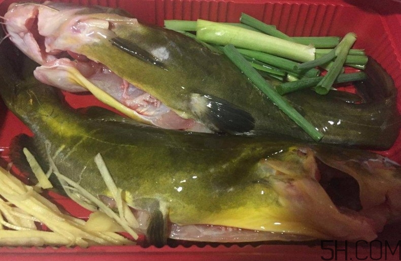 黃骨魚湯下奶嗎？黃骨魚湯的做法 