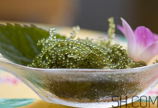 海葡萄好吃嗎？海葡萄怎么吃