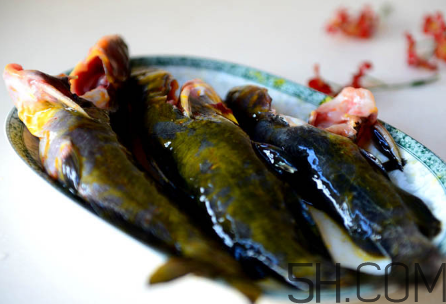 黃骨魚(yú)不能和什么一起吃？黃骨魚(yú)不適合什么人吃？