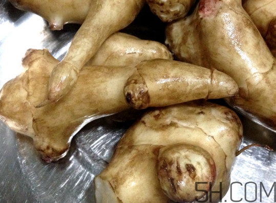 常吃鬼子姜有哪些危害？鬼子姜怎么吃