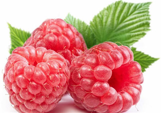 覆盆子的作用有哪些？覆盆子和桑葚哪個好吃？