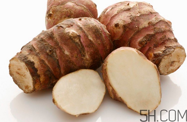 洋姜是生姜嗎？洋姜和生姜的區(qū)別