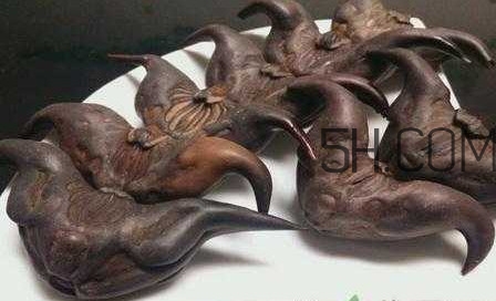 菱角殼煮水每次多少克？紅菱角和黑菱角的區(qū)別