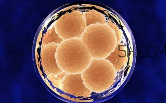 凍胚和鮮胚哪個(gè)成功率比較高？?jī)雠吆王r胚移植的優(yōu)缺點(diǎn)分別是什么？