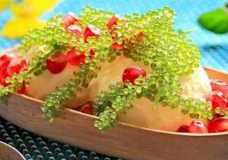 海葡萄有什么功效？海葡萄人工養(yǎng)殖條件