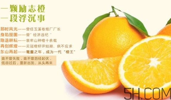 褚橙多少錢一斤？褚橙為什么這么貴