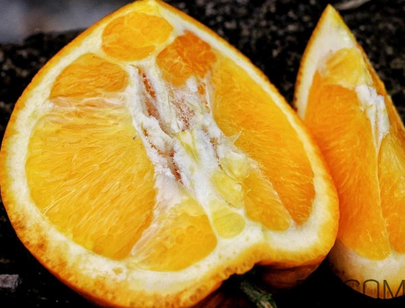 褚橙什么牌子最正宗？褚橙的種植技術(shù)