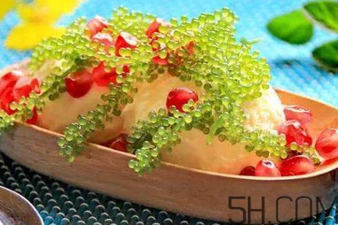 海葡萄有什么功效？海葡萄人工養(yǎng)殖條件