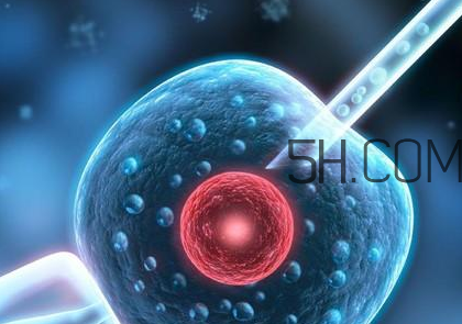 染色體異?？梢宰鲈嚬軏雰?jiǎn)?？染色體異常能要孩子嗎？